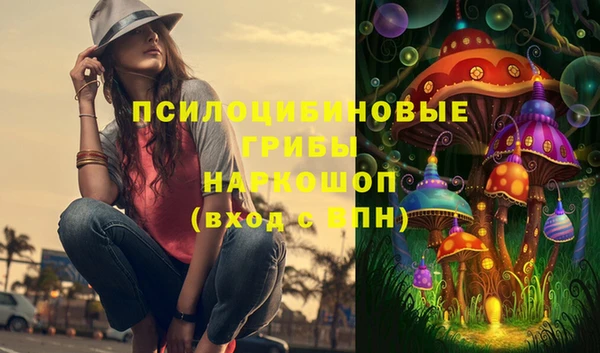 ПСИЛОЦИБИНОВЫЕ ГРИБЫ Баксан