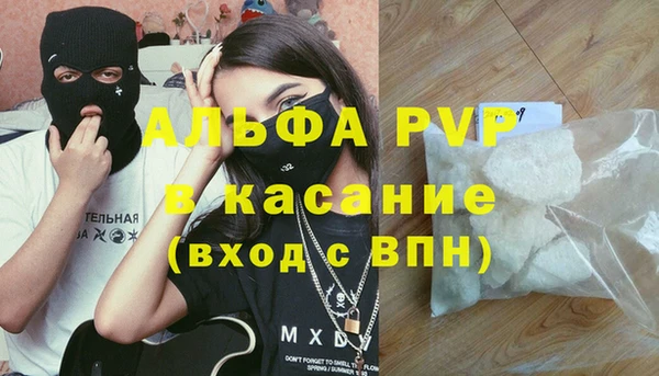 ПСИЛОЦИБИНОВЫЕ ГРИБЫ Баксан