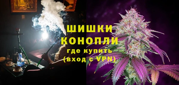 ПСИЛОЦИБИНОВЫЕ ГРИБЫ Баксан