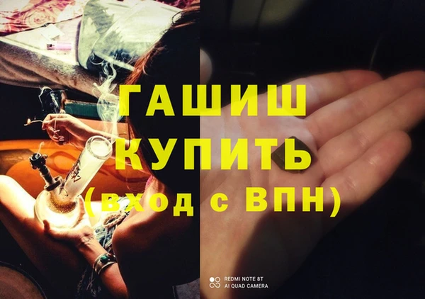 сатива Покачи