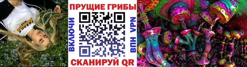 Галлюциногенные грибы мухоморы как найти закладки Гудермес